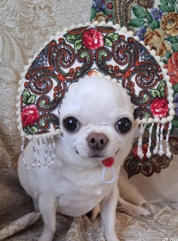 Фото для обложки из недр интернета