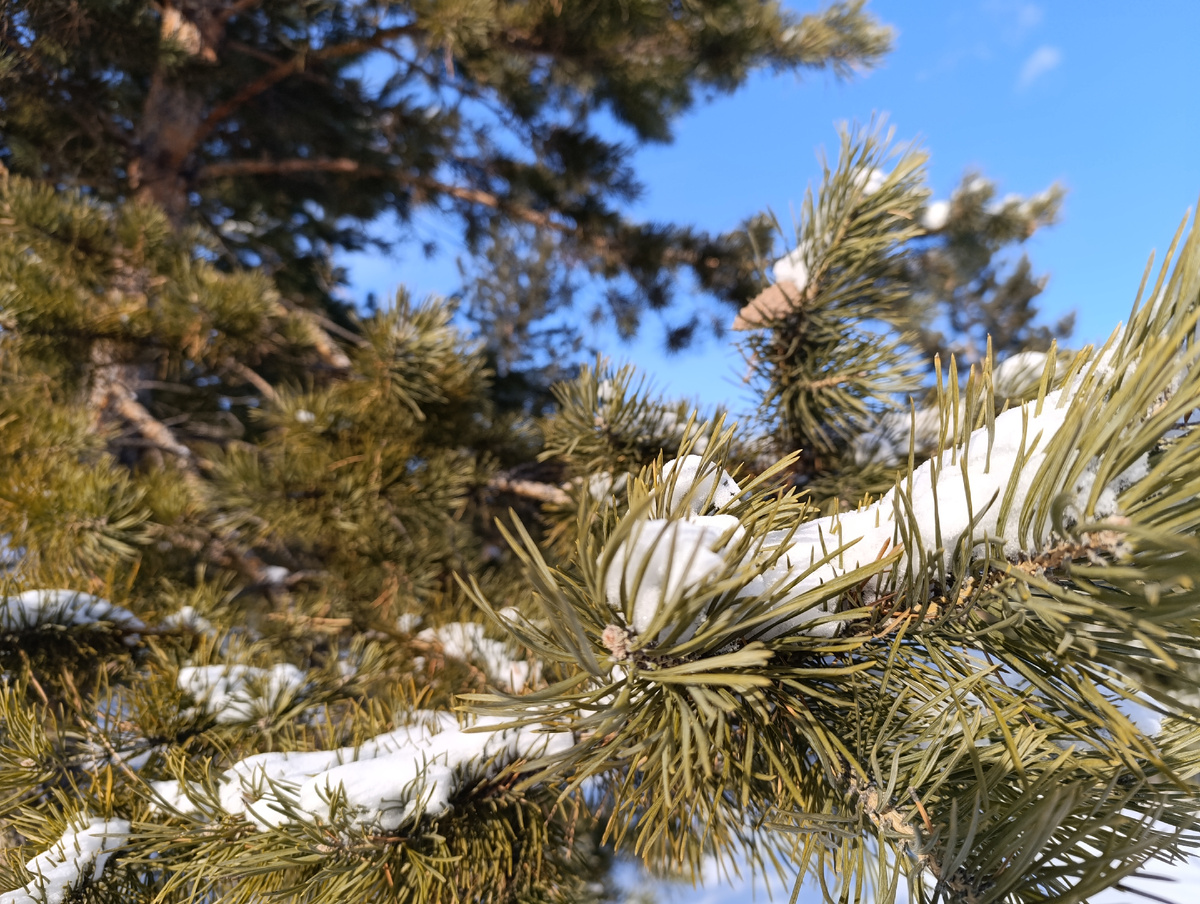 Фото из прошлой поездки