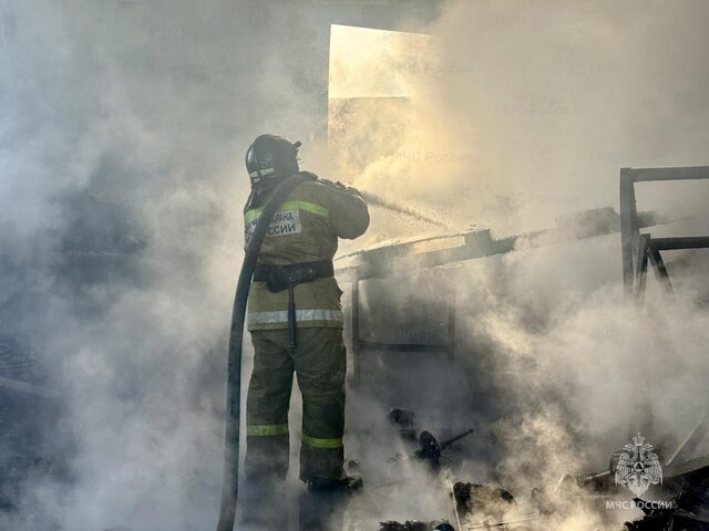    Фото: 25.mchs.gov.ru