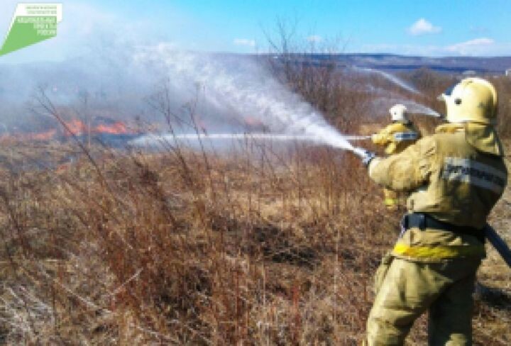   Фото:пресс-служба министерства лесного хозяйства и лесопереработки Хабаровского края