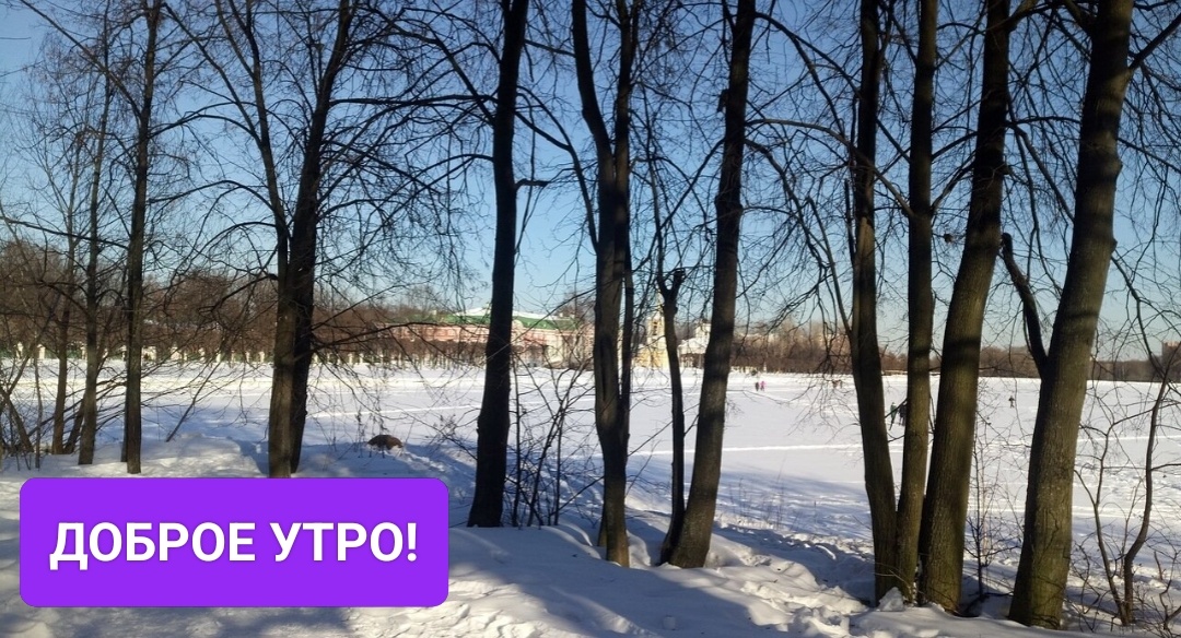 Кусково, остров на Большом графском прудФото автора