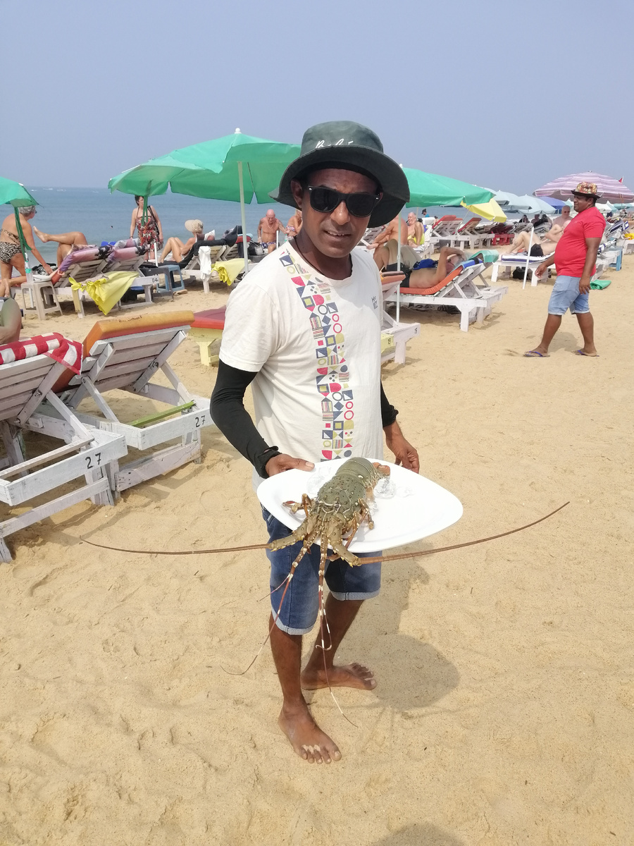 Вот такой красавец-омар (на тарелке) 😉