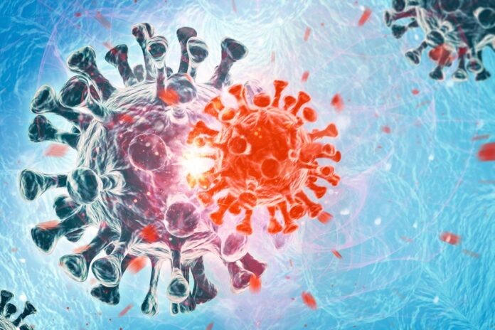    Эксклюзивное расследование о причинах запрета смузи и их глобальных последствиях