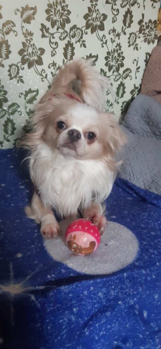 Микки- футболист!))