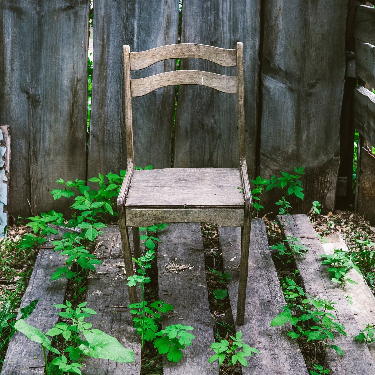 фото Андрея Павлычева