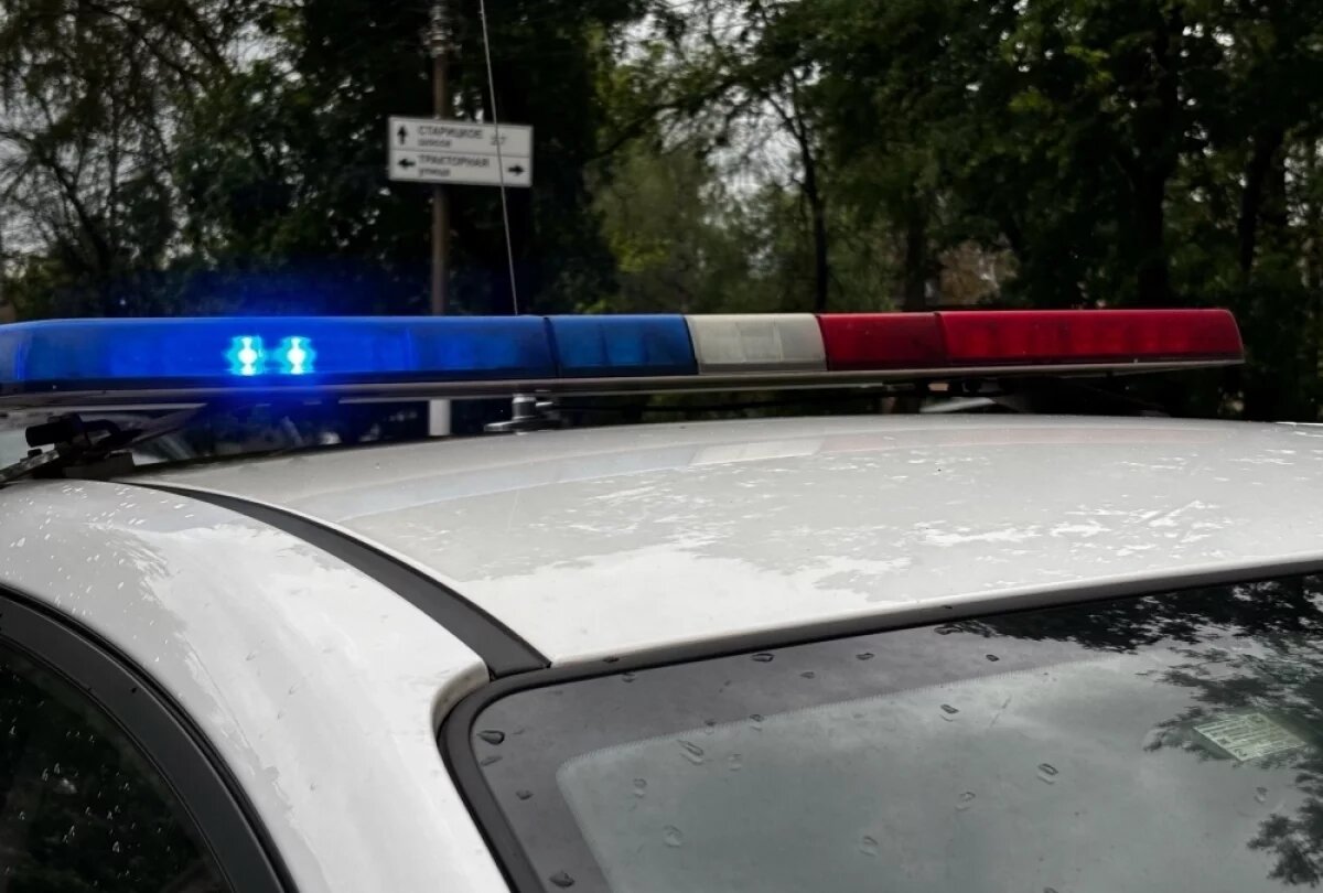    Две жизни за 17 тыс.