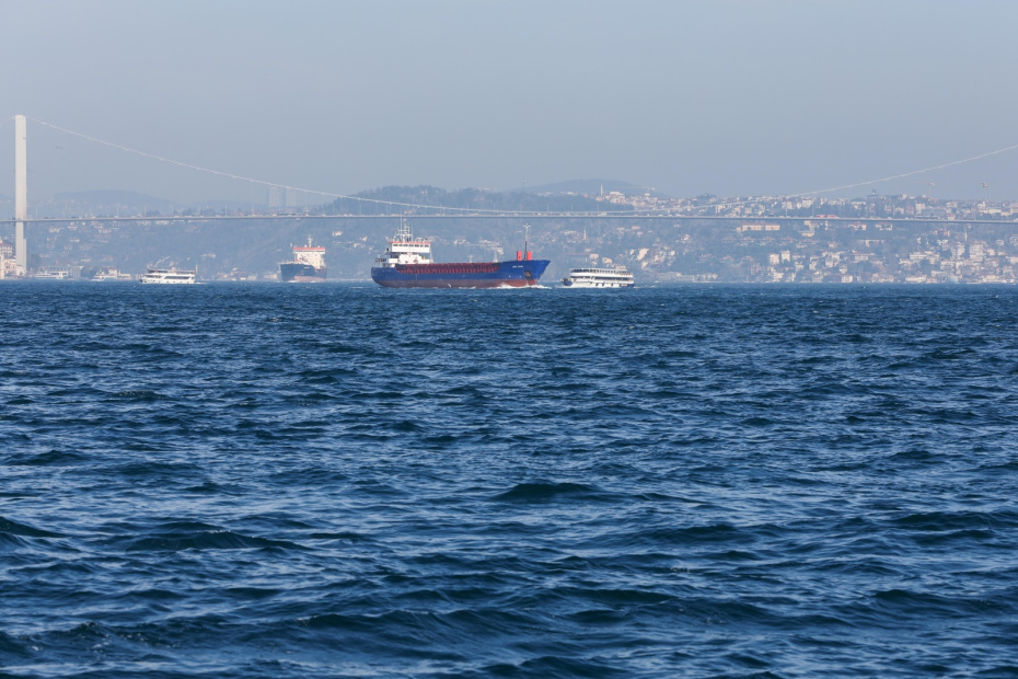    Алексей Белкин/NEWS.ru