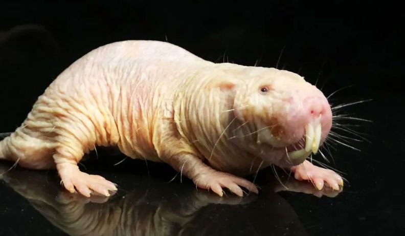 Источник mcn.com