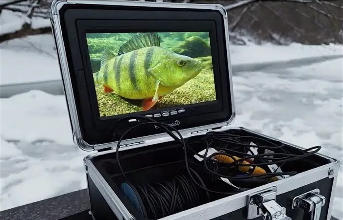 Подводный взгляд на зимнюю рыбалку: как камера меняет представление о ловле со льда