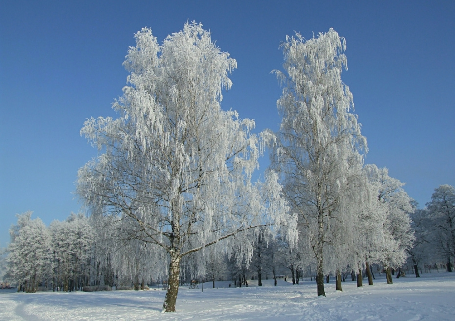    Victor Lisitsyn, Виктор Лисицын/Global Look Press