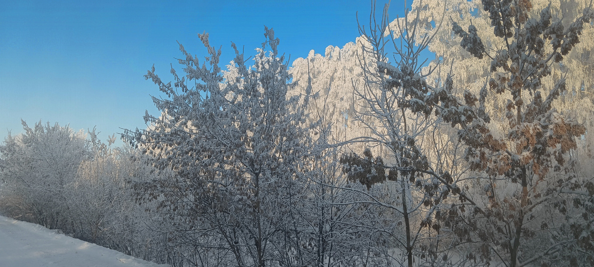 Зима нашими глазами. Фото автора