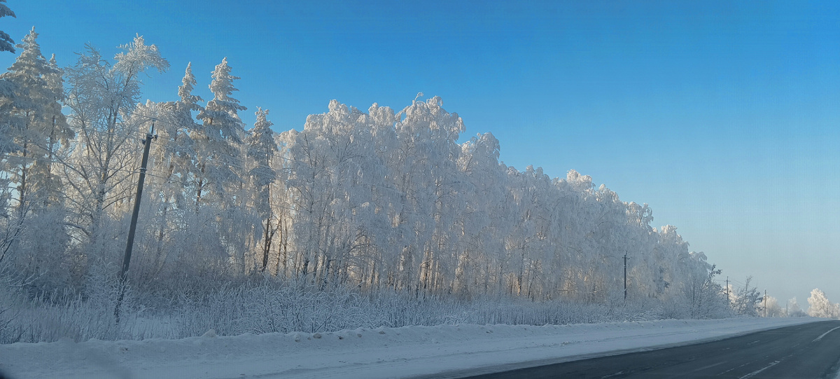 Вдоль зимней дороги. Фото автора