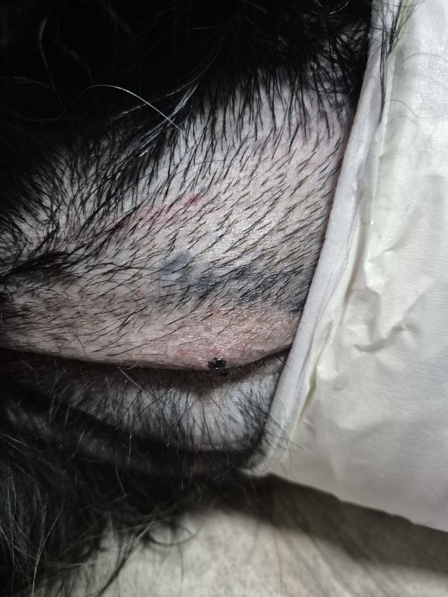 Клеймо есть