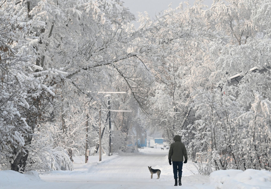   Илья Наймушин/РИА Новости