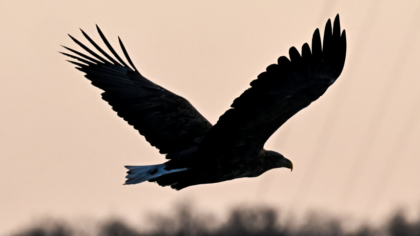    Фото: © РИА Новости/Виталий Аньков