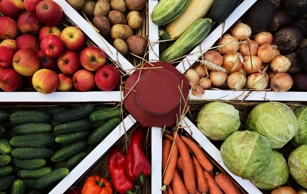    Новая эра упаковки: капуста как экологическая альтернатива в 2029 году.