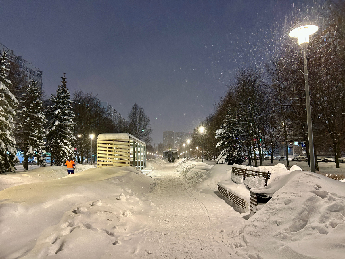 Заснеженный бульвар 