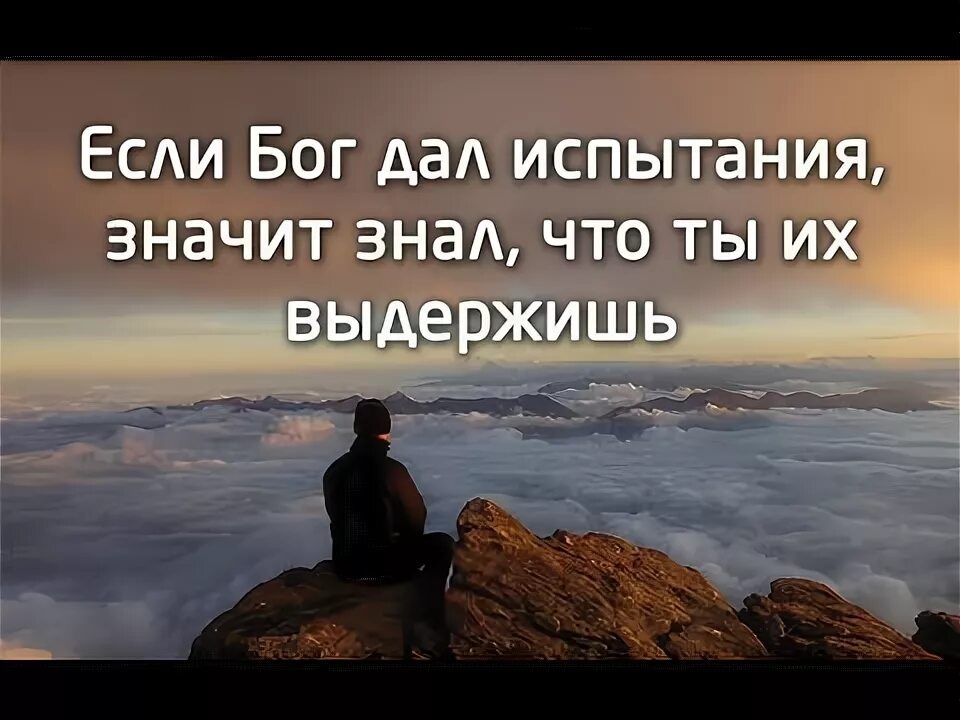 Из открытых источников Яндекса.