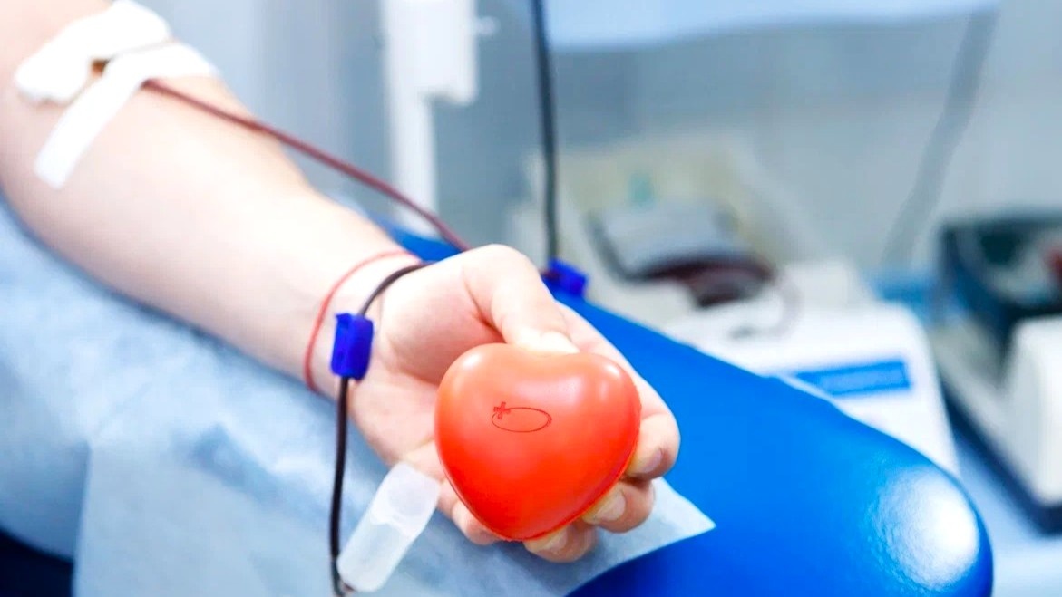    Почти 1000 югорчан вошли в Национальный регистр доноров костного мозга