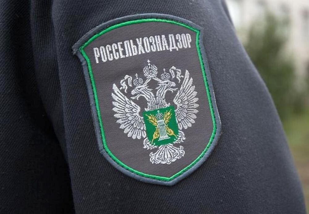    Фото: Официальный Телеграм-канал Азово-Черноморского межрегионального управления Россельхознадзора