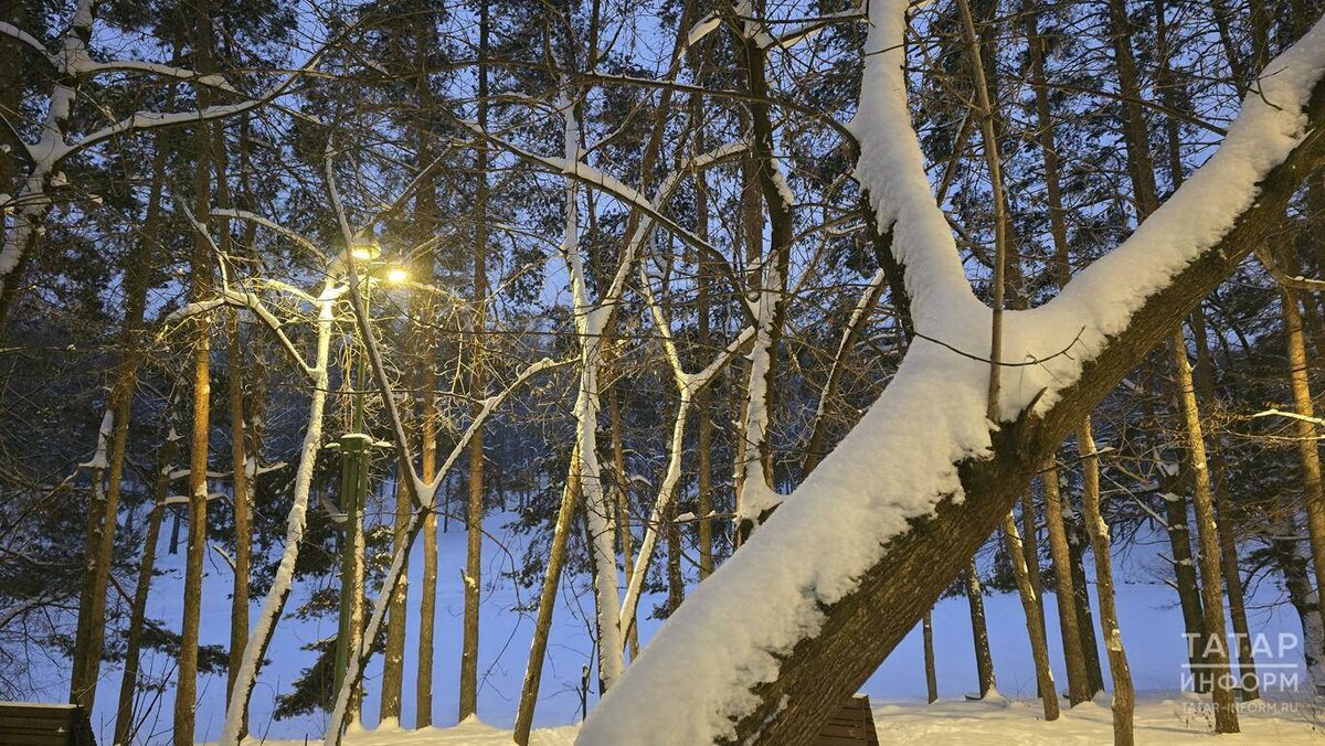 Фото: © Султан Исхаков / «Татар-информ»