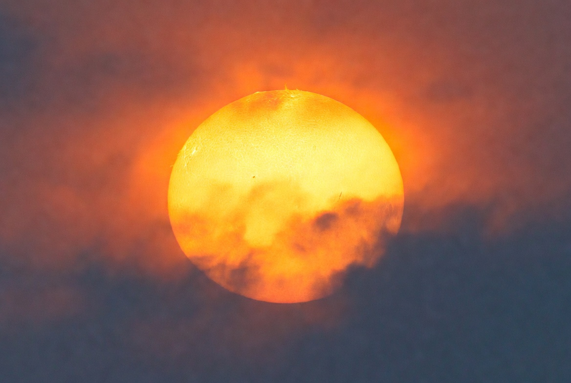 Изображение Grok  📷
