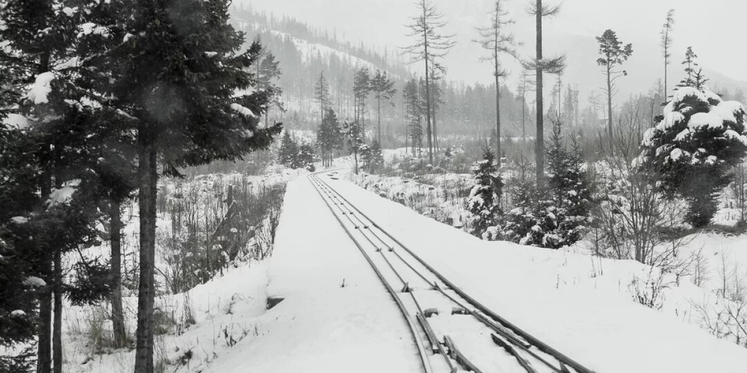 У поезда Мурманск — Смоленск появится новая станция