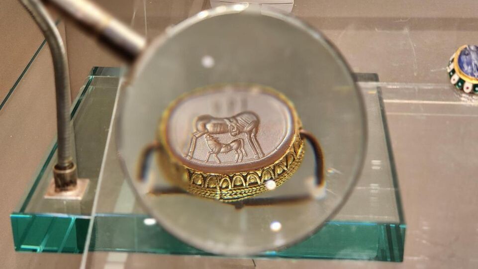     Елена Шумакова