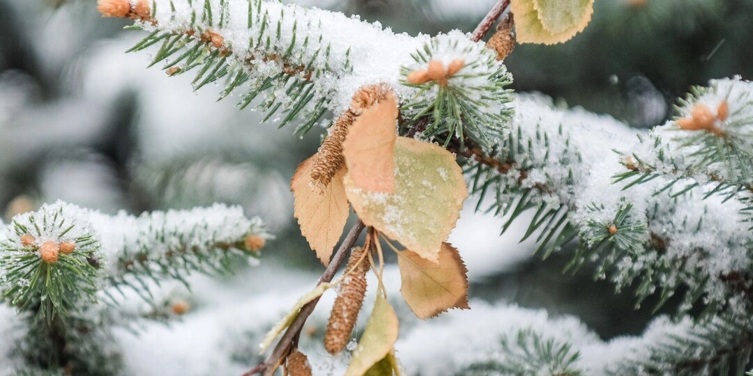 Стужа задерживается: какая погода будет в феврале 2026 года в России и Удмуртии