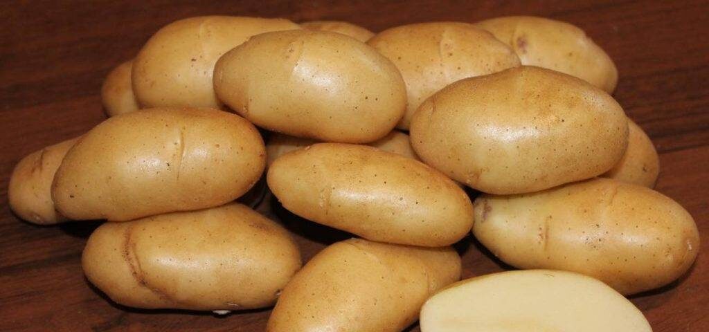 Далеко не все сорта картофеля хороши для жарки
