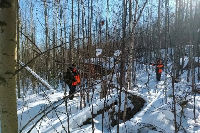 Спасатели возобновили поиски Усольцевых. Фото осени прошлого года. Фото: КГКУ "Спасатель"📷
