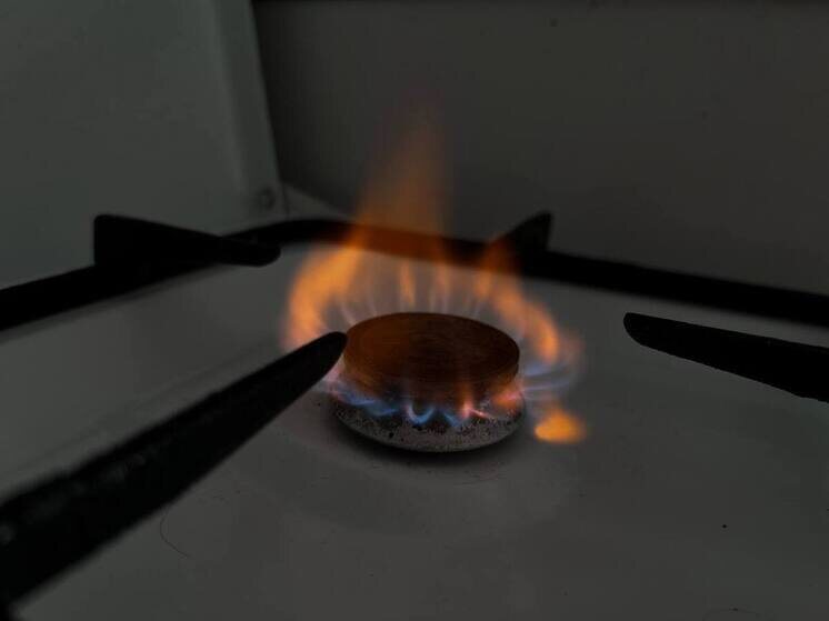     Фото: архив МК в Питере.