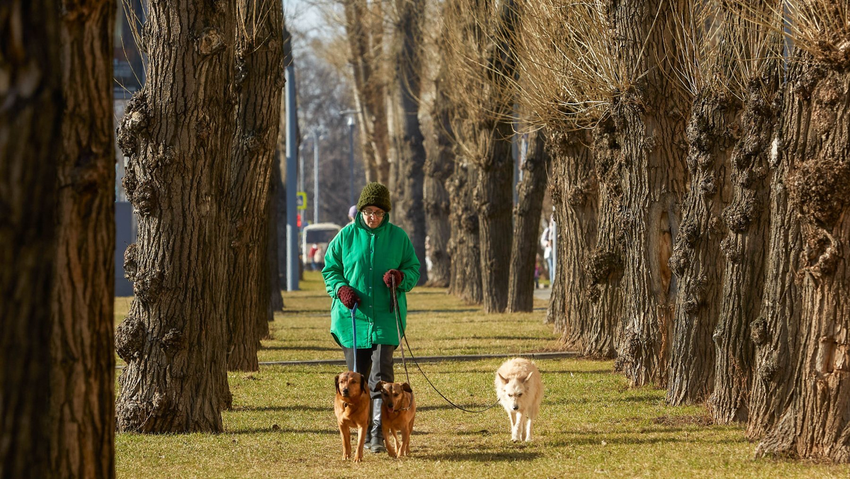 Источник: https://www.forbes.ru/forbeslife/532852-moskva-i-sankt-peterburg-lidiruut-v-rejtinge-kacestva-zizni-ludej-starsego-vozrasta