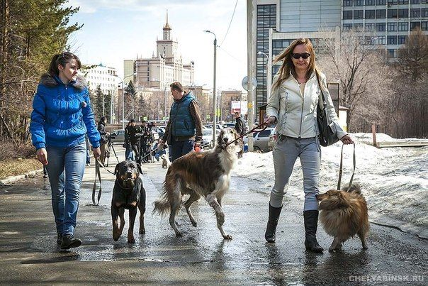 Источник: https://tr.pinterest.com/pin/716424253211018855/