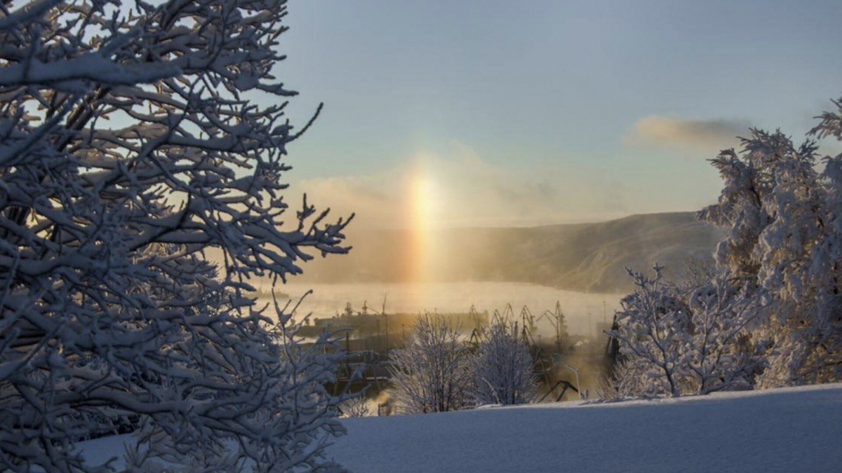 Фото из интернета