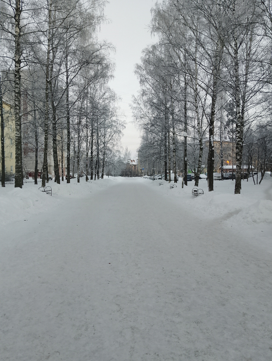 Утро последнего январского дня 2026 года, фото автора 