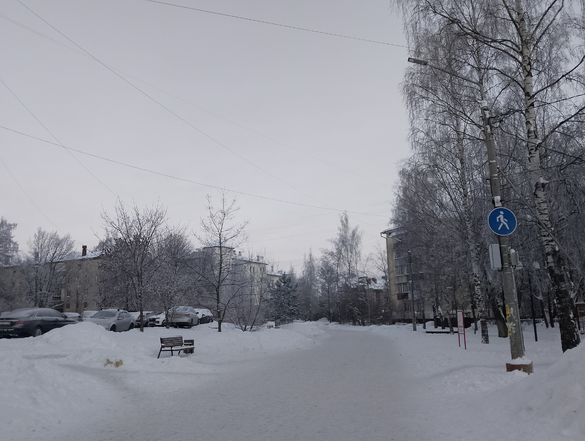 Пустынно и всё в инее, фото автора 