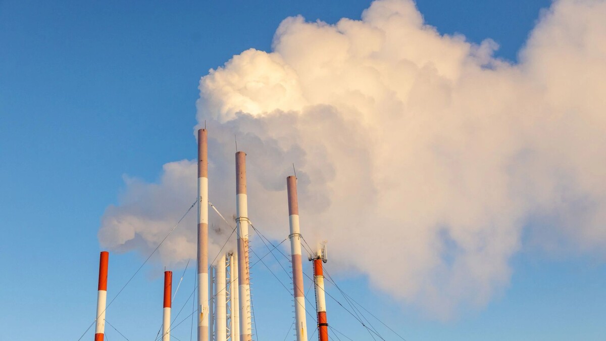    Фото: Федор Воронов / «Ямал-Медиа»