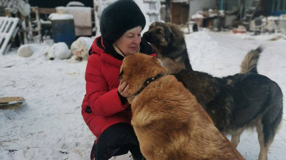 Зарплата, Блэк, Улан и другие новости приюта.