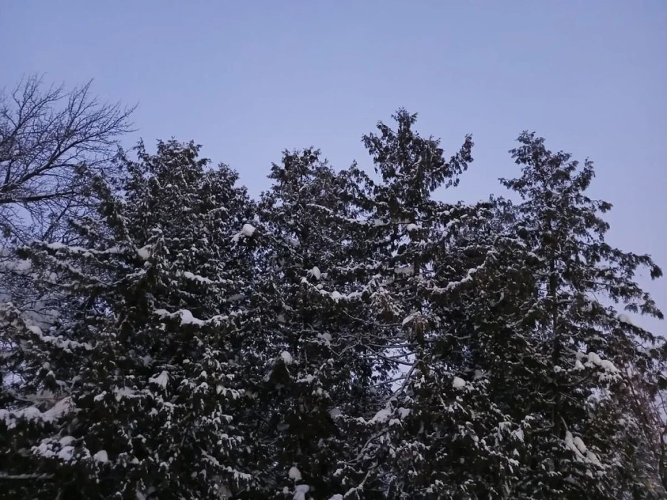    Людей просят быть внимательными.