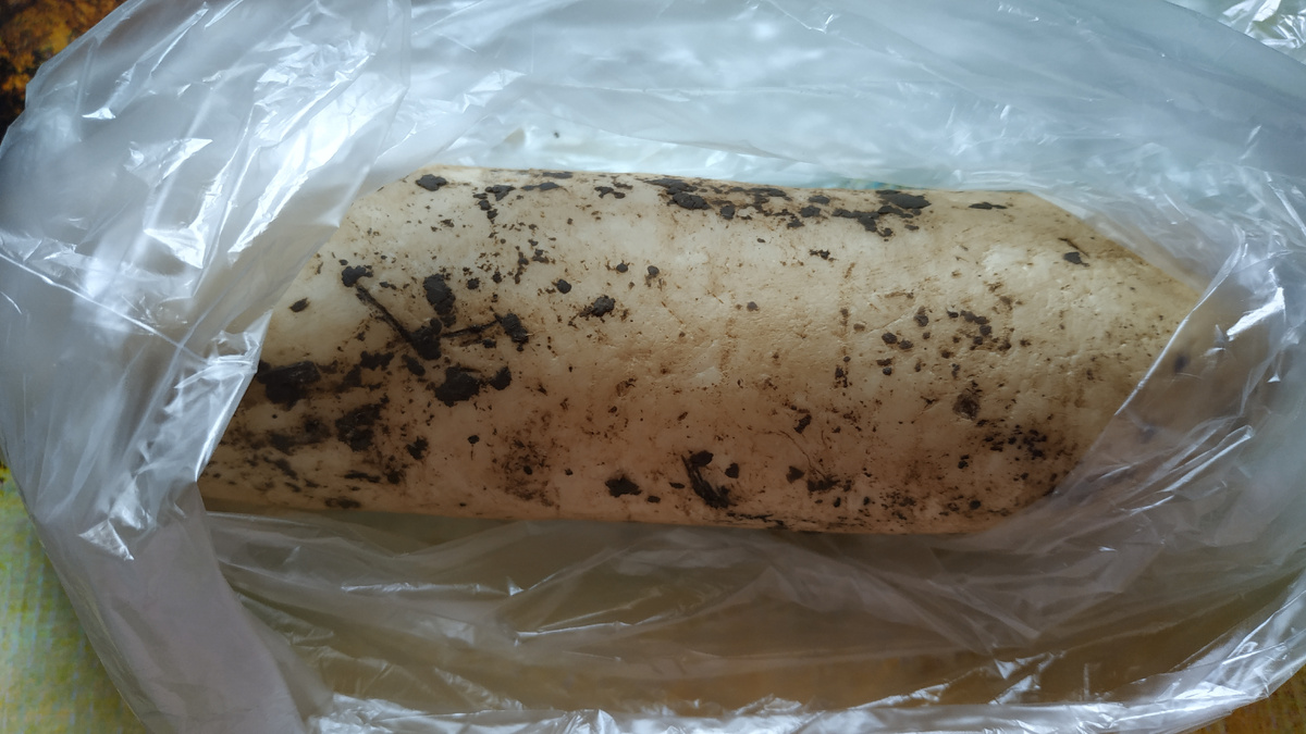 Редька крупная, почти полкилограмма