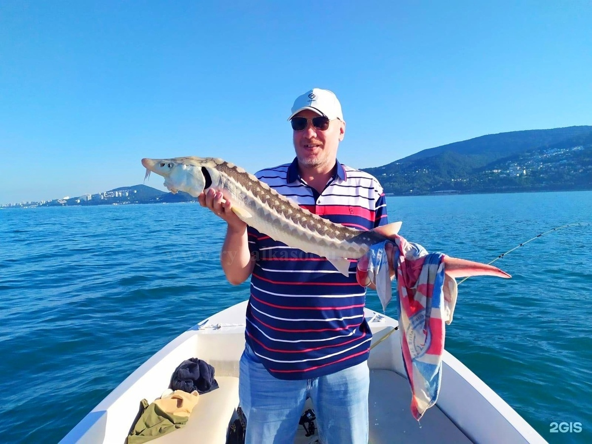 Русский осетр