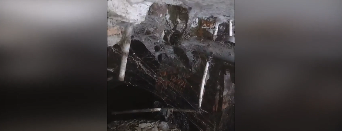    Народный фронт Карелии