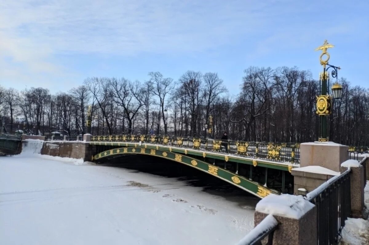    Февраль в Петербурге начнется с 20-градусных морозов