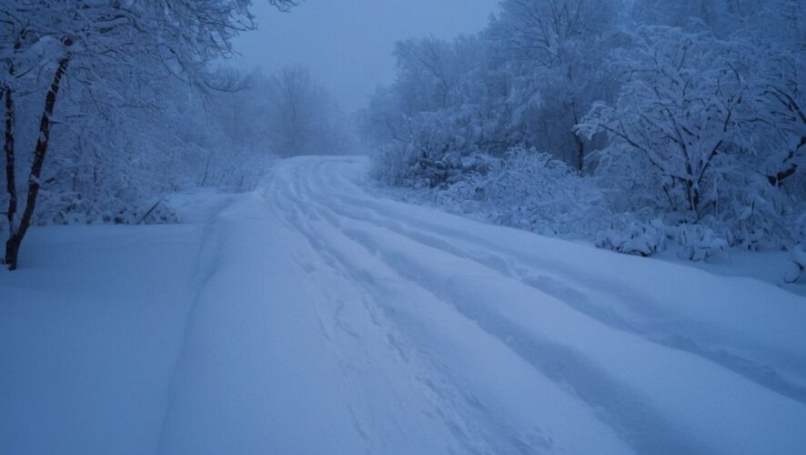    Фото: создано ИИ