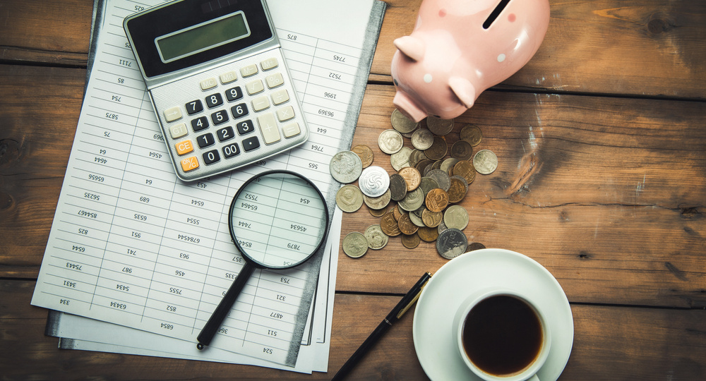 Прощай бедность, здравствуй выживание! Домашняя бухгалтерия за январь