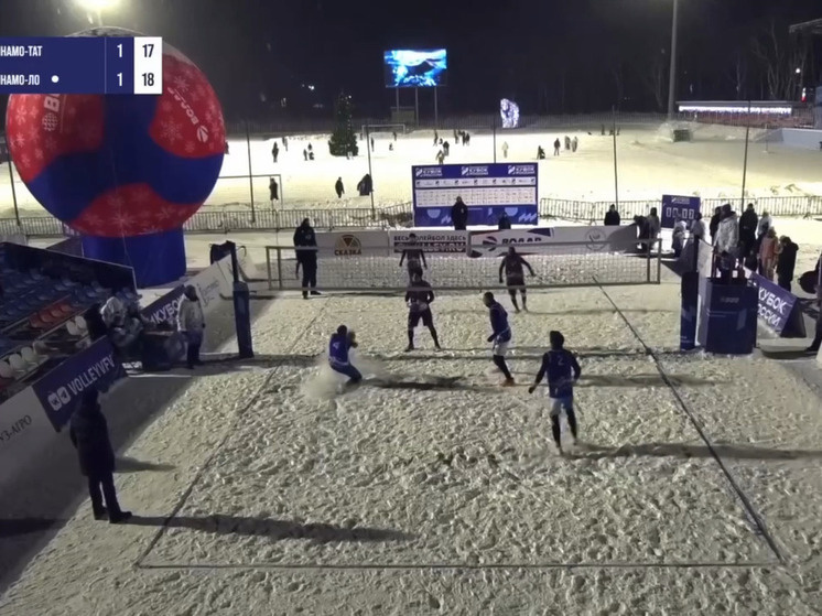     Фото: Всероссийская федерация волейбола.