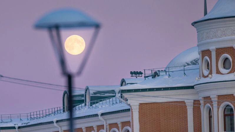    Фото: Фёдор Воронов/«Ямал-Медиа»