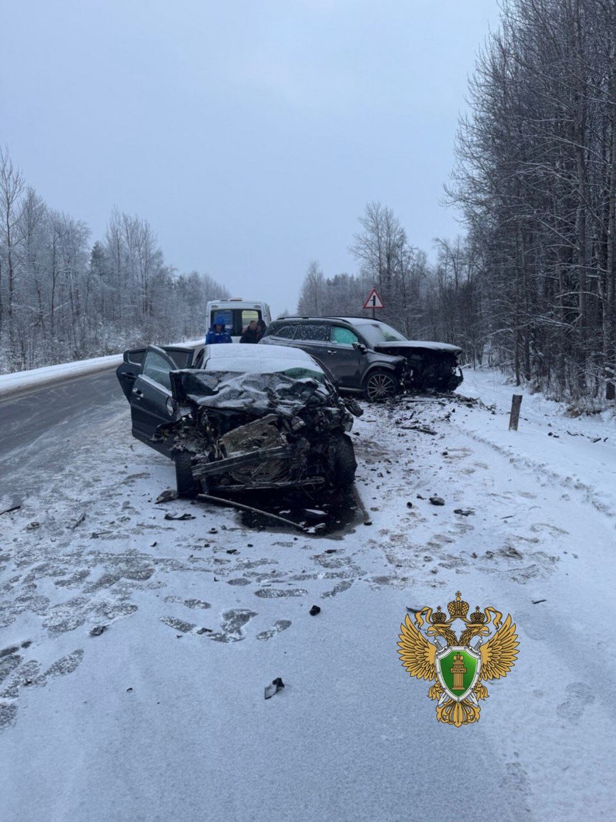    Прокуратура Ленинградской области / тг