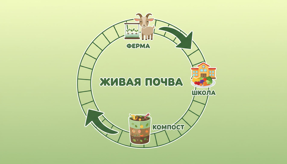 СТАТЬЯ 13.1. Цикл выгодный всем...